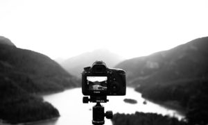 cameras