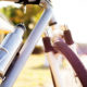 Insulated Water Bottle