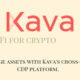 Kava.io Review